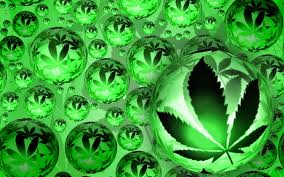 cannabis 2